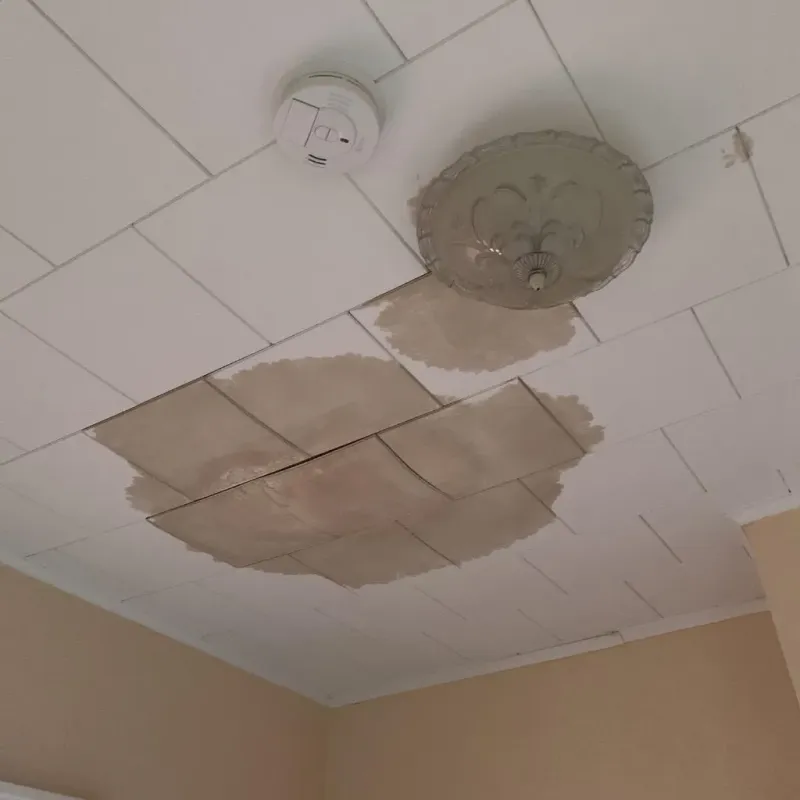 Ceiling Water Damage Repair in Camp Swift, TX