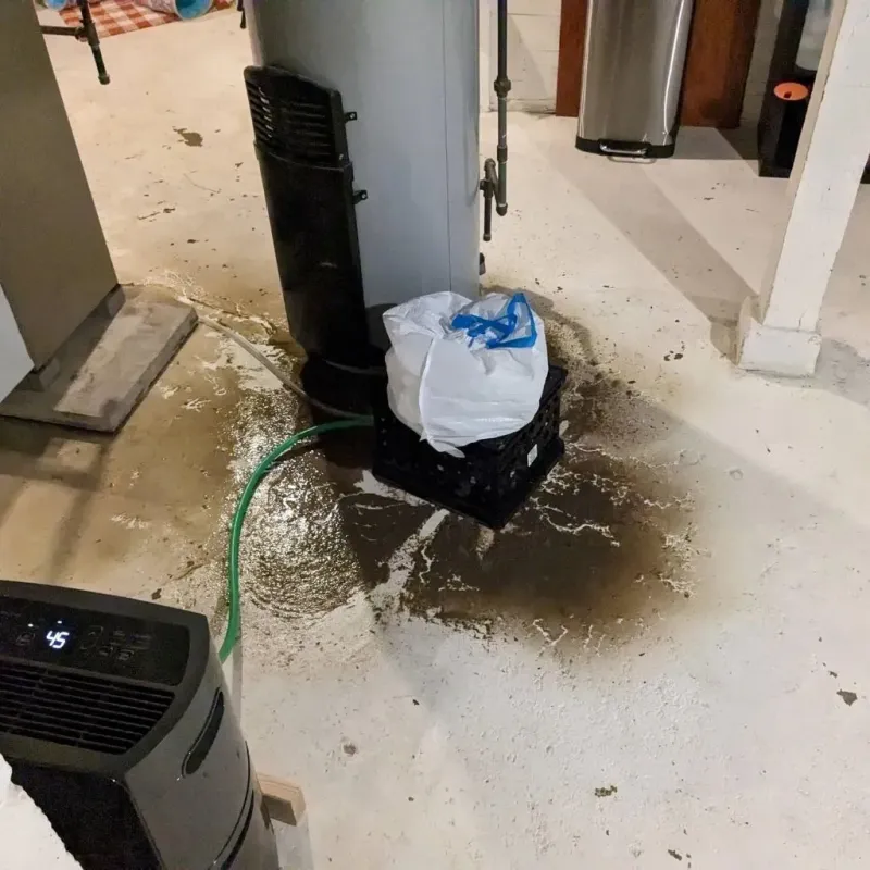 Sewage Backup Cleanup Service in Camp Swift, TX